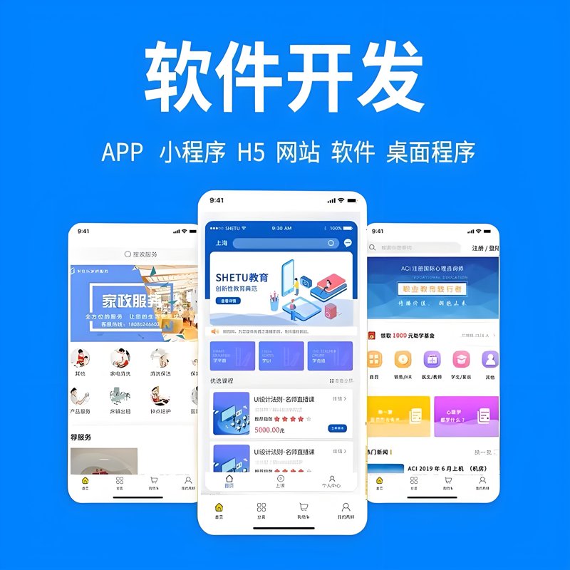 软件定制开发：企业高效运行的催化剂